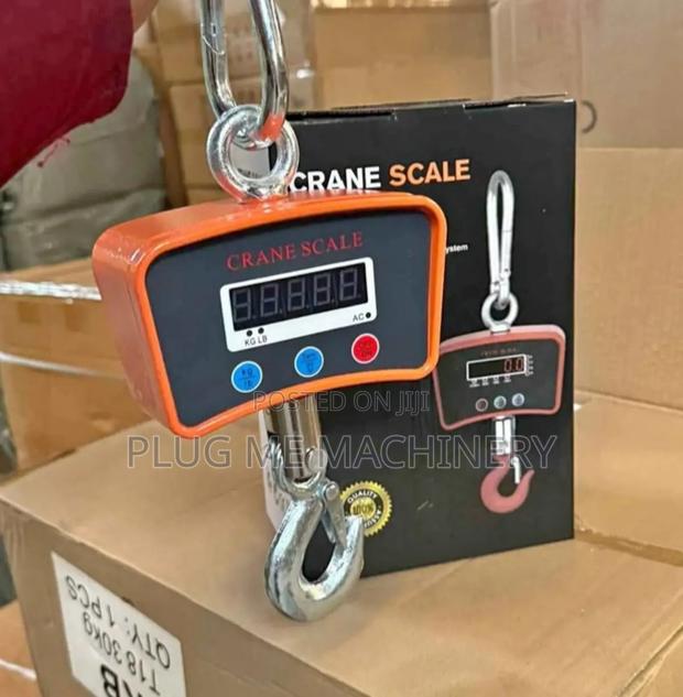 Crane Scale Max Weight 500kg