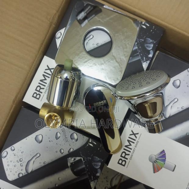 Brimix Concealed Shower Mixer (Silver - main view