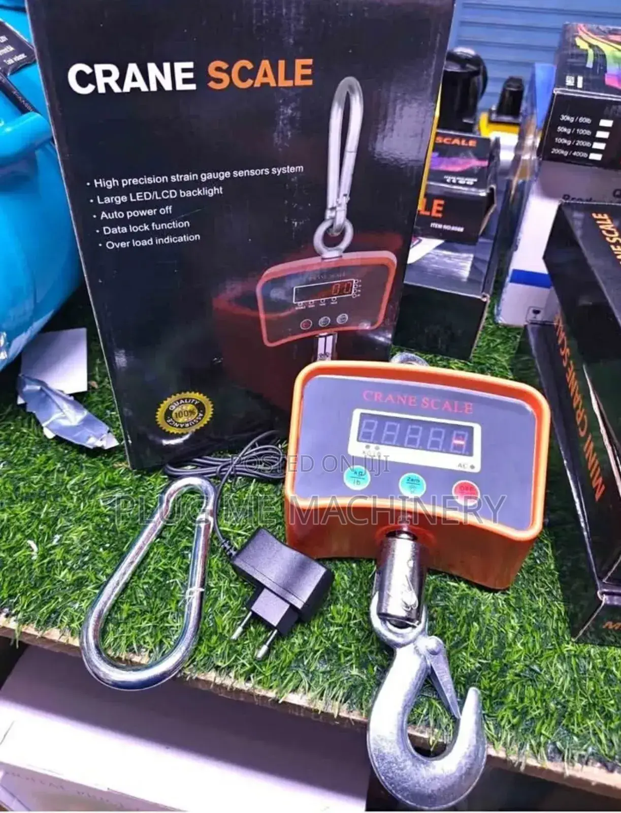 500kg Crane Weighing Scale