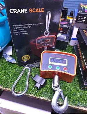 500kg Crane Weighing Scale