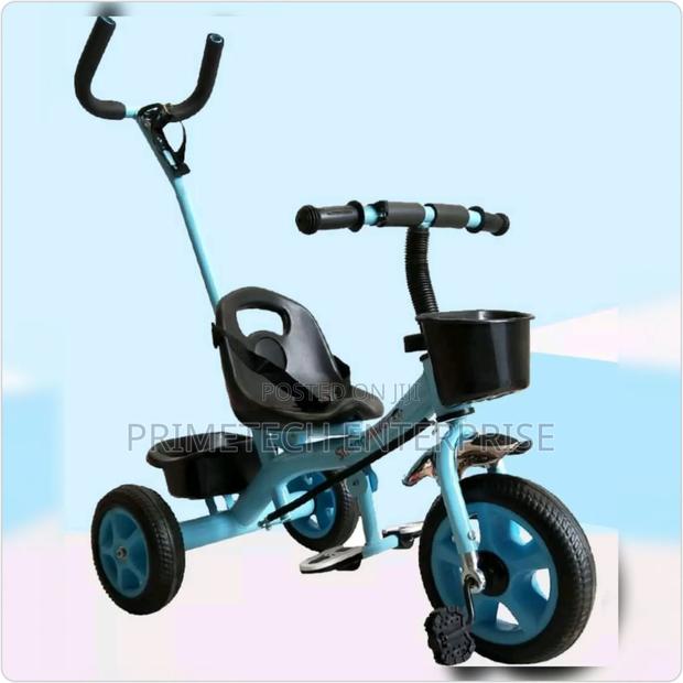 Quality Push Handle Tricycle for Kids - main view