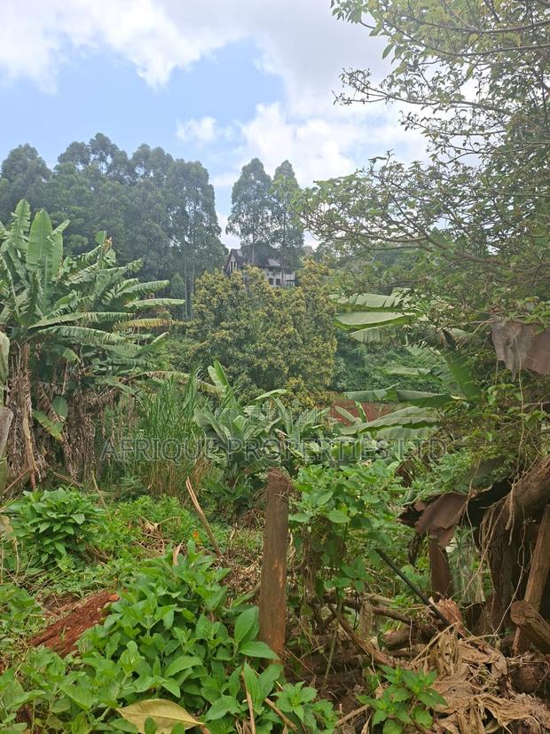 1 Acre for Sale in Loresho the Property Has a 4 Bedroom - thumbnail 7