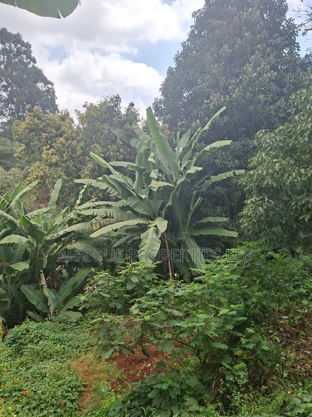 1 Acre for Sale in Loresho the Property Has a 4 Bedroom - thumbnail 9