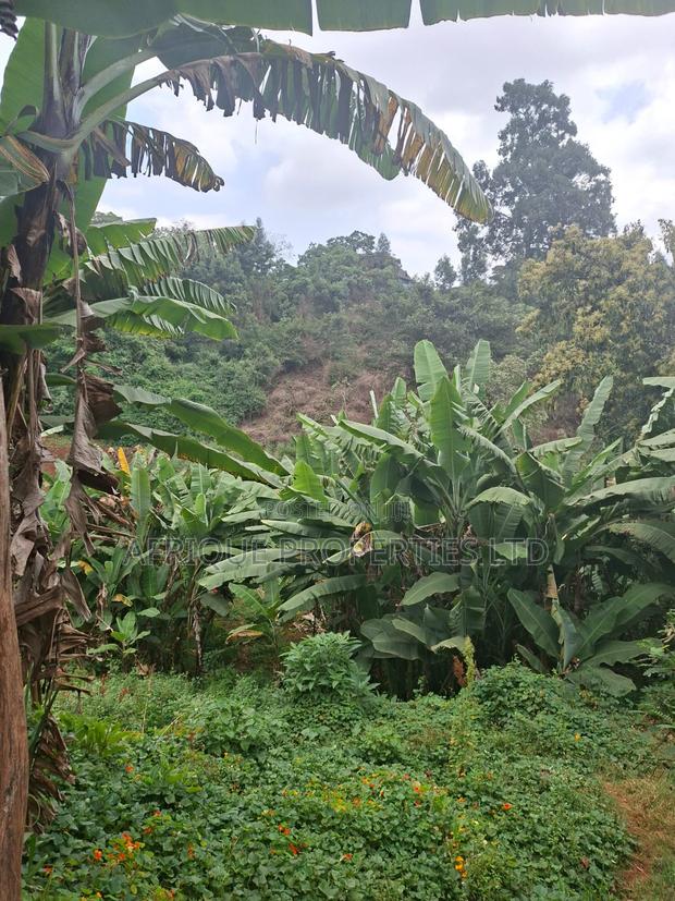 1 Acre for Sale in Loresho the Property Has a 4 Bedroom - thumbnail 10