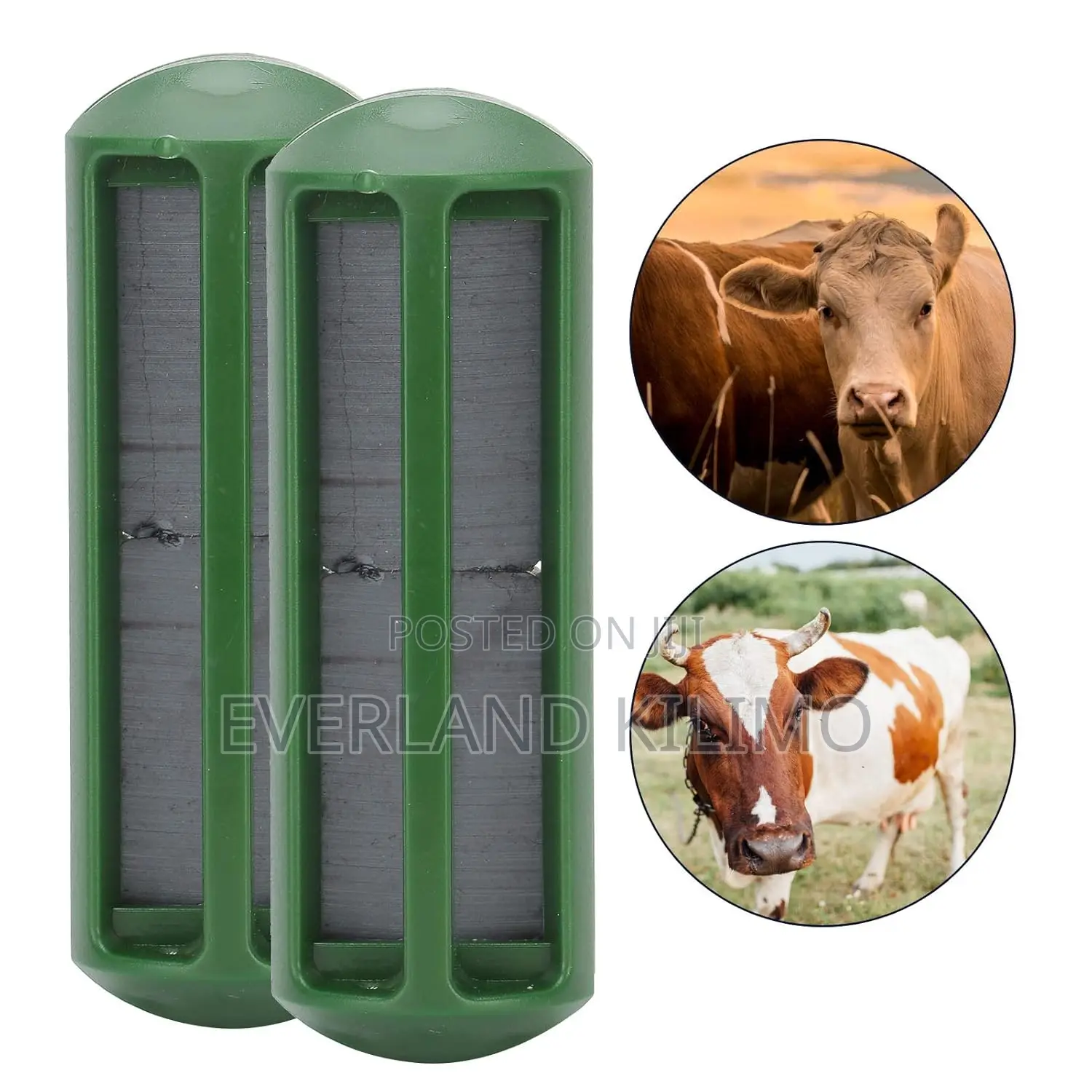 Bio-Compatible Rumen Magnets