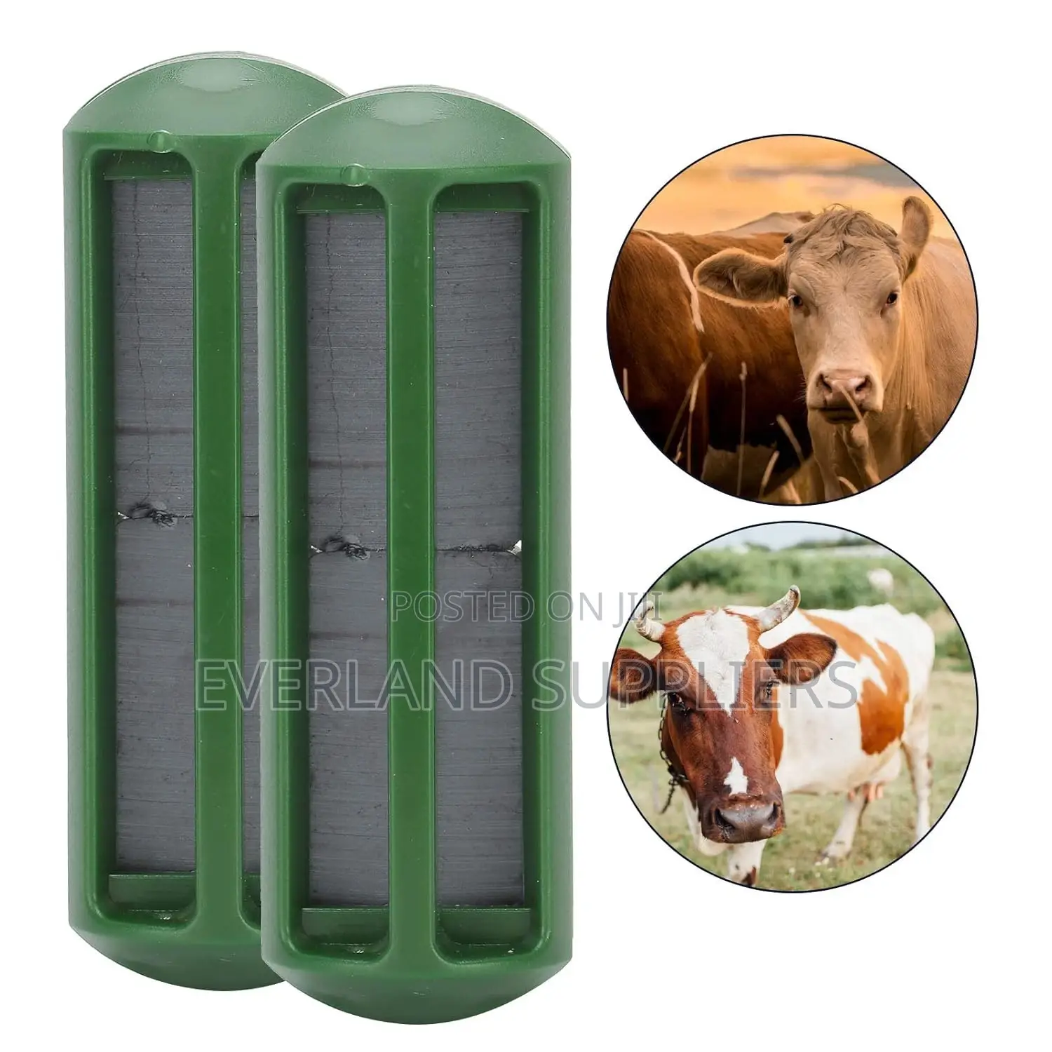 Bio-Compatible Rumen Magnets