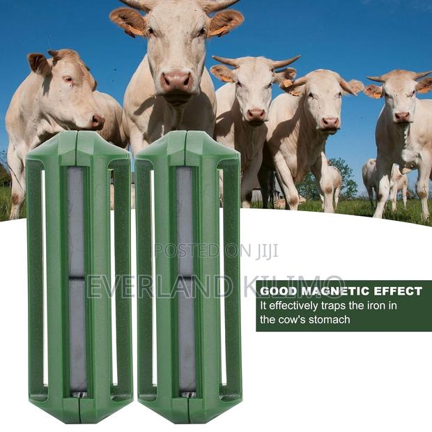 Non-Toxic Rumen Magnet