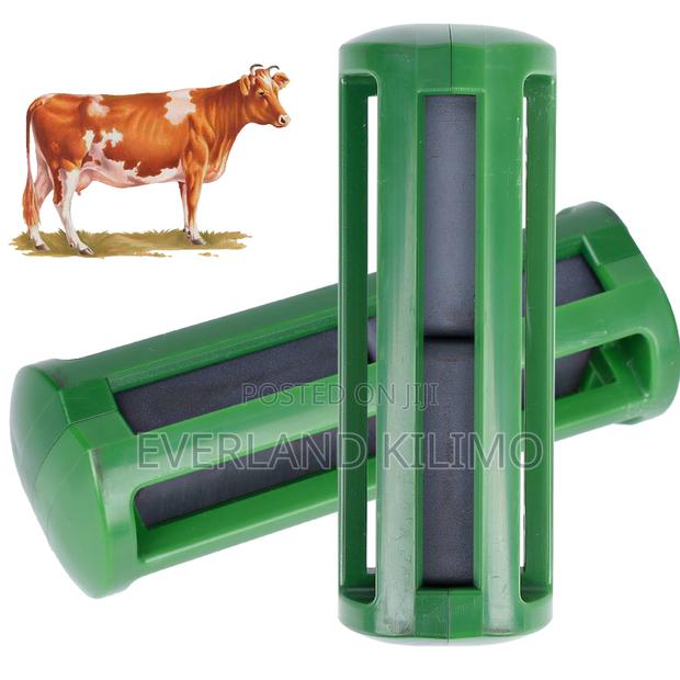 Non-Reactive Rumen Magnets