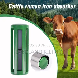 Protective Rumen Magnets
