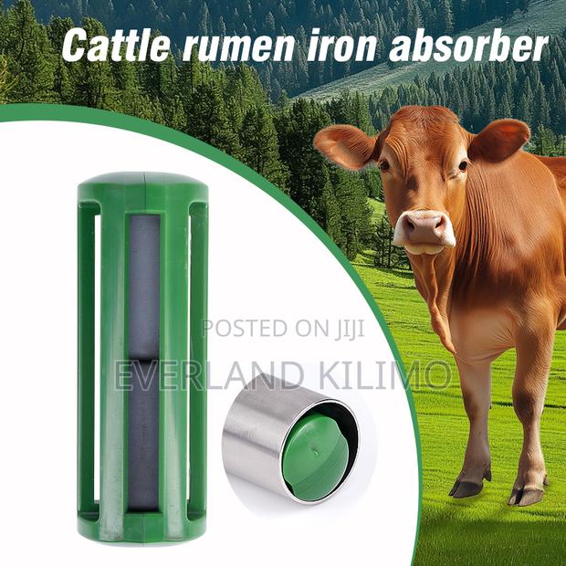 Protective Rumen Magnets