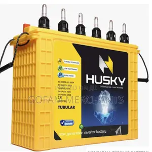 Husky Tall Tubular Battery Made in India 250ah With Acid