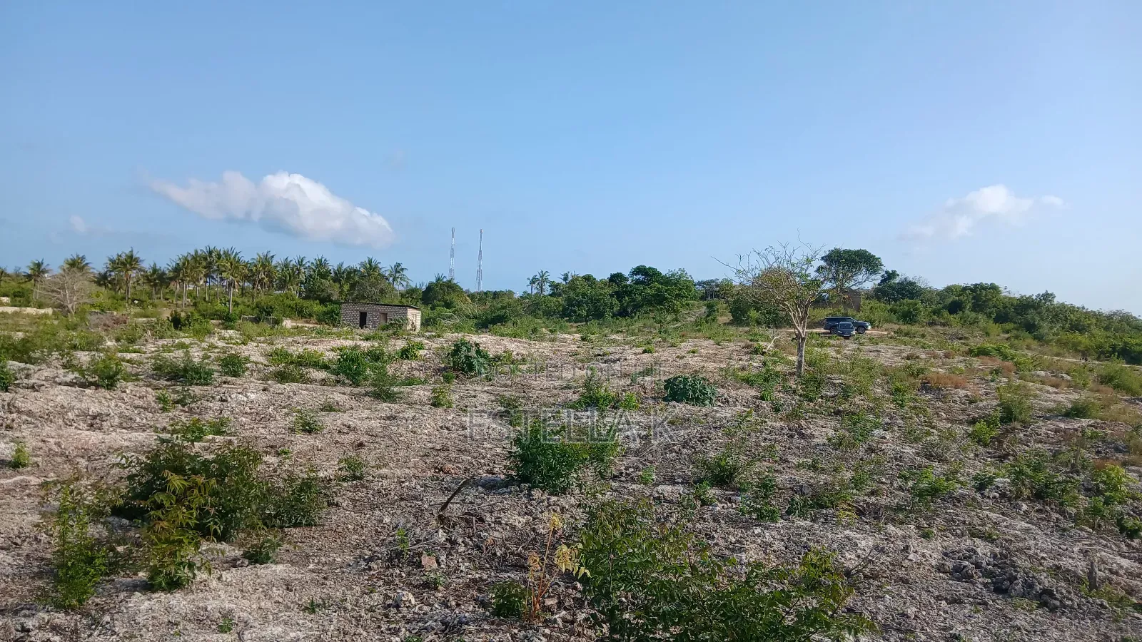 100by100 In Malindi