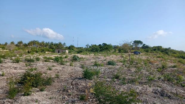 100by100 In Malindi