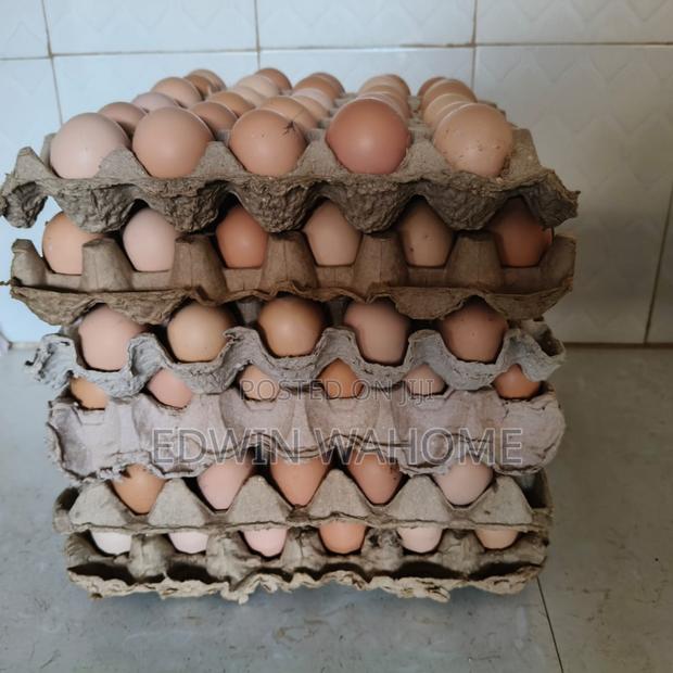 Fertilized Improved Kari Kienyeji Eggs - main view