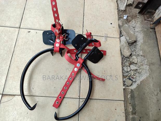 Wood Poles Climbers