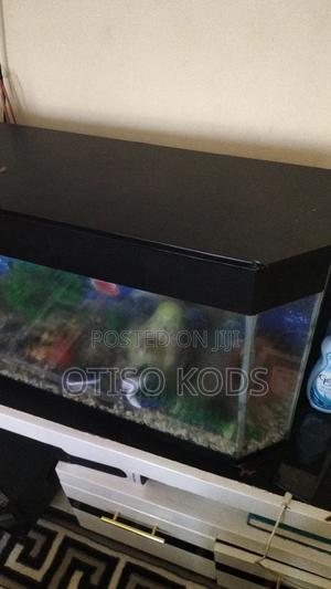 Water Aquarium - main view