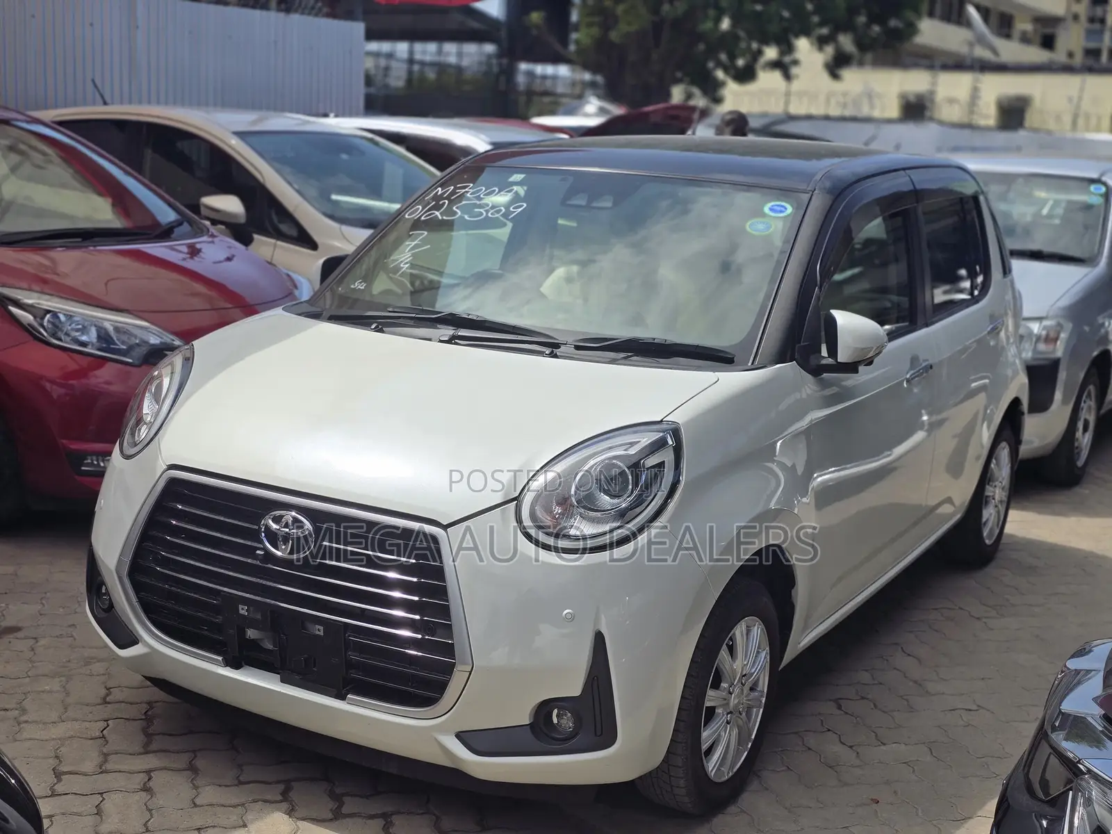 Toyota Passo 2018 White