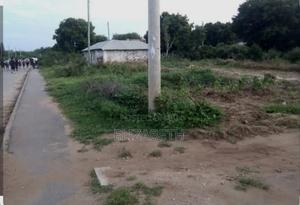 Half an Acre of Land - thumbnail 2