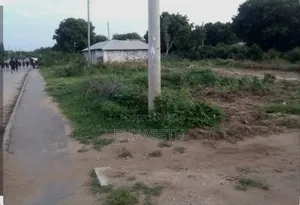 A Quarter of an Acre