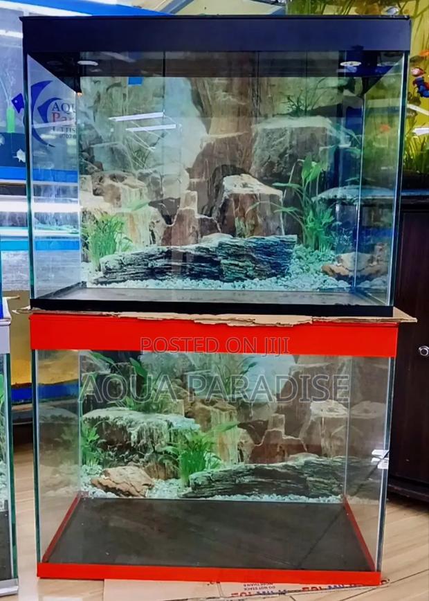 Aquarium Tanks - thumbnail 4