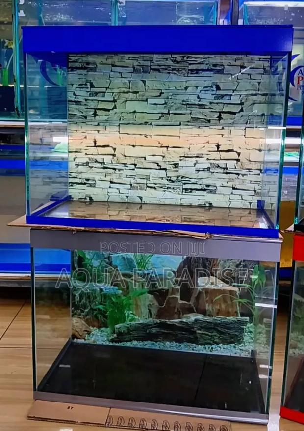 Aquarium Tanks - thumbnail 5