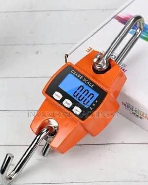 300kgs Mini Crane Scale - thumbnail 2