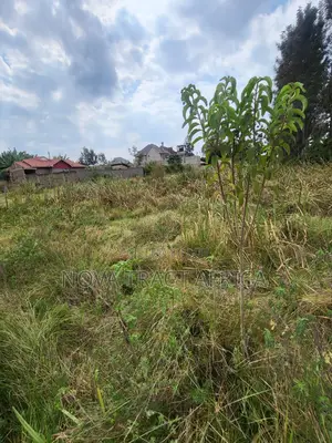 1/4 Acre Plots for Sale