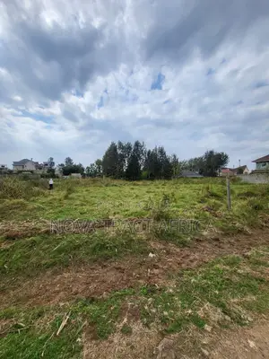1/4 Acre Plots for Sale