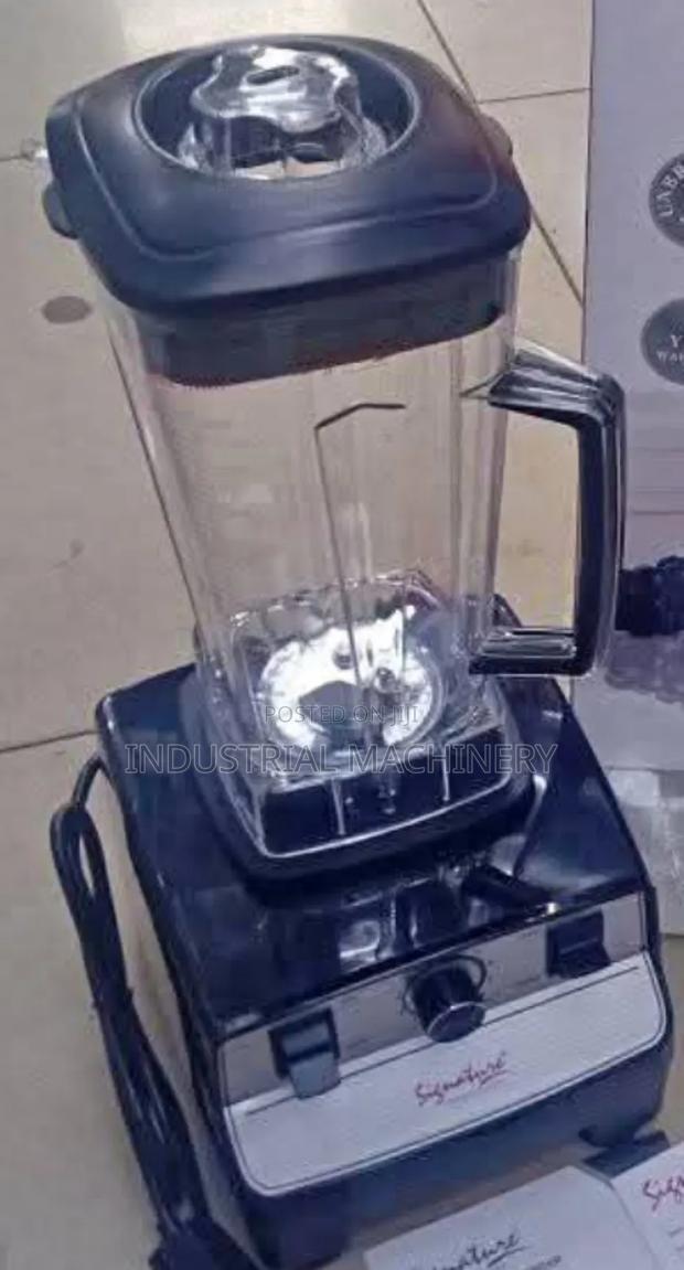 Professional Blender - main view