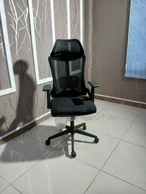 Comfort Meets Class Executive Ergonomic Mesh Chair