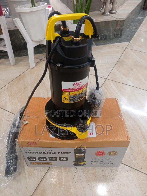 1hp Qdx Submersible Water Pump - main view