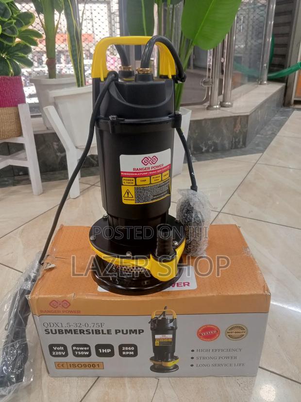 1hp Qdx Submersible Water Pump - thumbnail 2