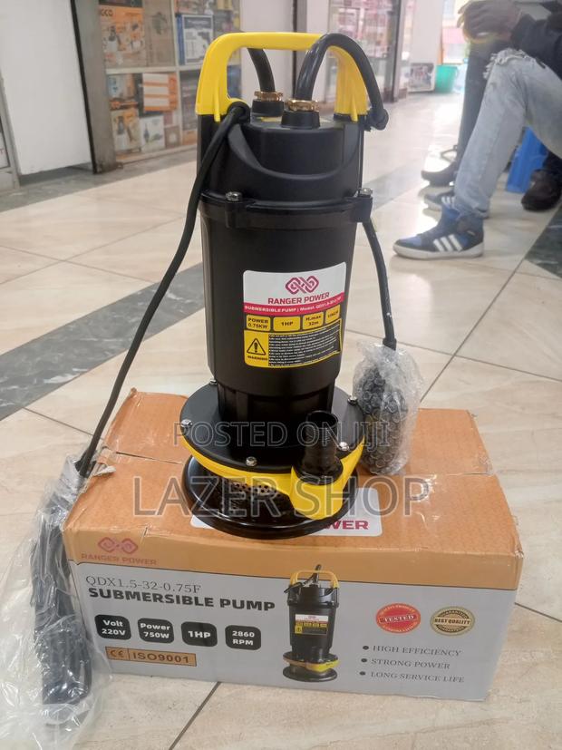 1hp Qdx Submersible Water Pump - thumbnail 3