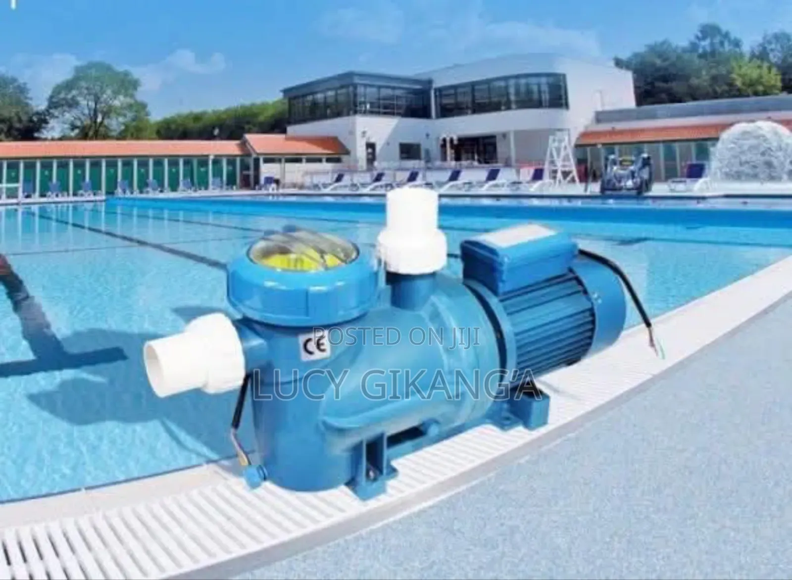 Water Faery Pool Pump