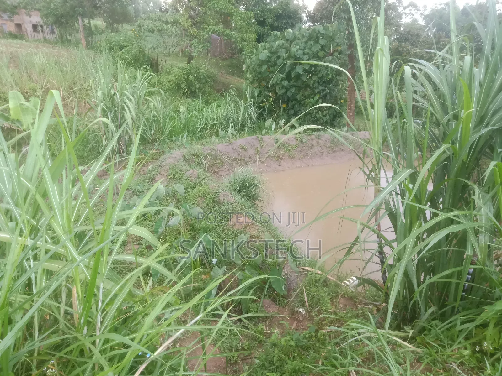 An Acre Land Piece