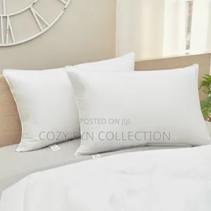 Bed Pillows Pair