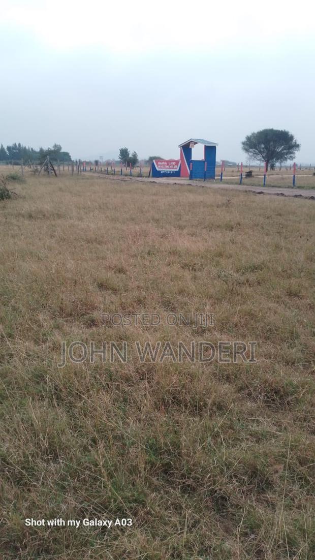 50*100 Plot in Koma - main view