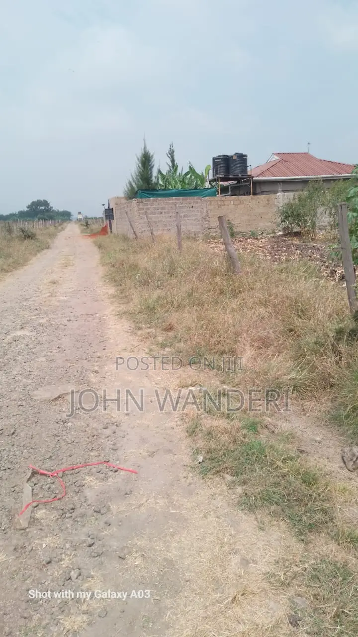 50*100 Plot in Koma