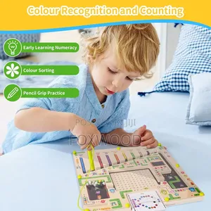 Magnetic Maze Puzzle