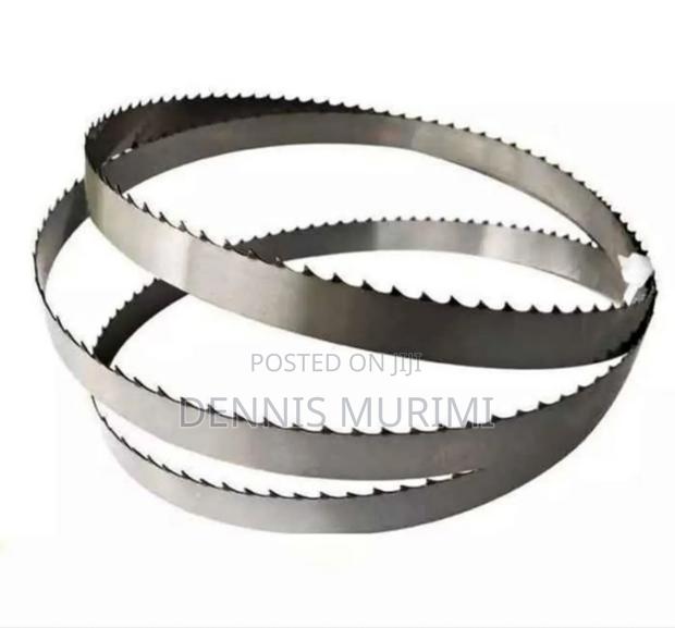 Bonesaw Blade/ Bone Cutter Blade - main view