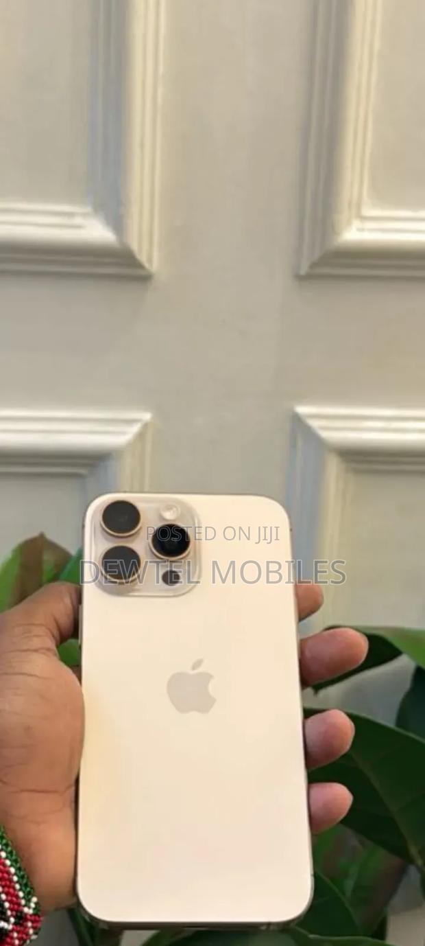 Apple iPhone 16 Pro Max 256 GB Silver - main view