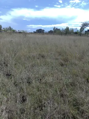 Plot for Sale -Katani Area 4 Acres