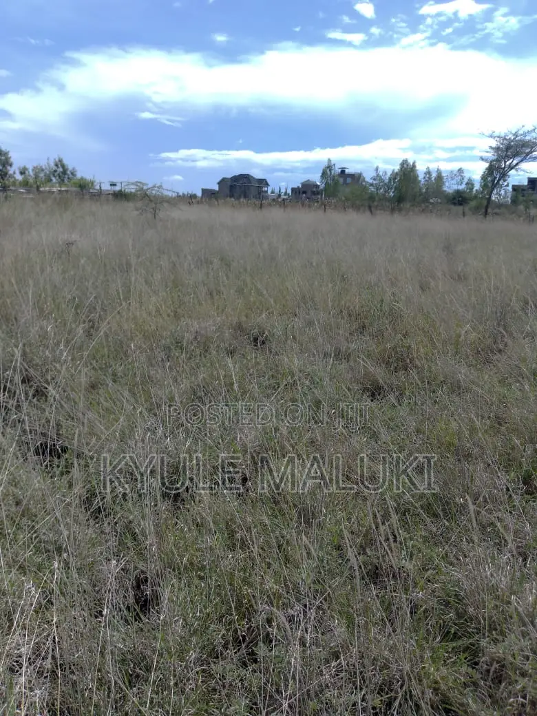Plot for Sale -Katani Area 4 Acres