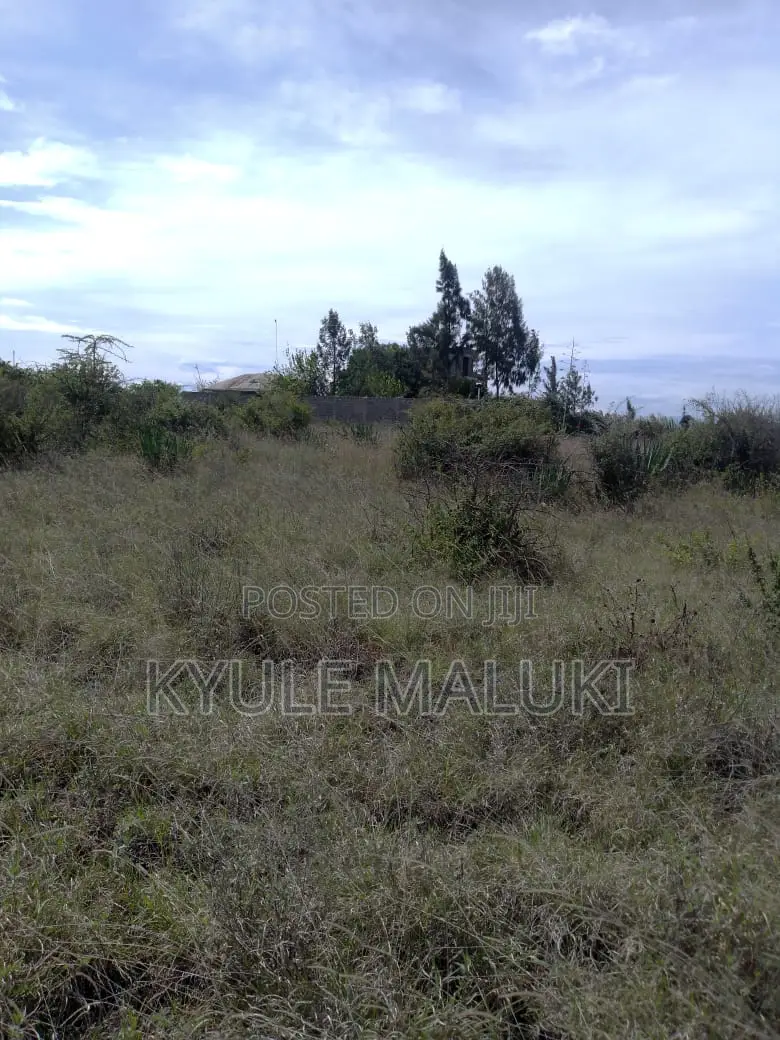 Plot for Sale -Katani Area 4 Acres