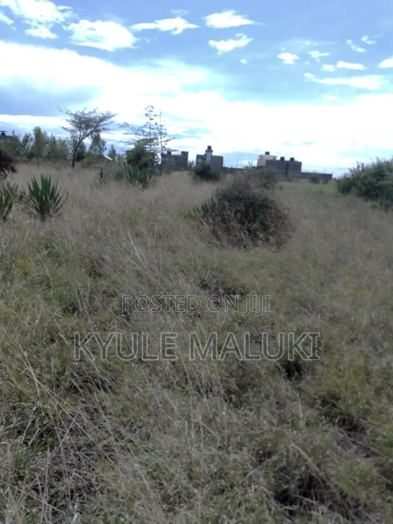 Plot for Sale -Katani Area 4 Acres