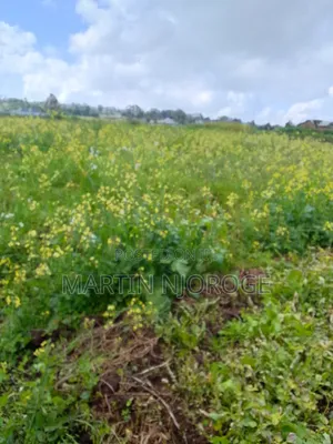 10 Acres Murungaru