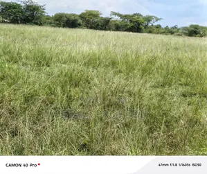 2 Acres for Sale in Lengenet Kampi Ya Moto