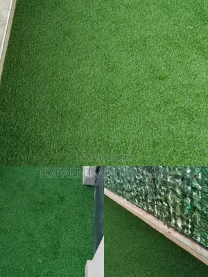 Soft Touch Artificial Grass Carpet for Okay Area and Home