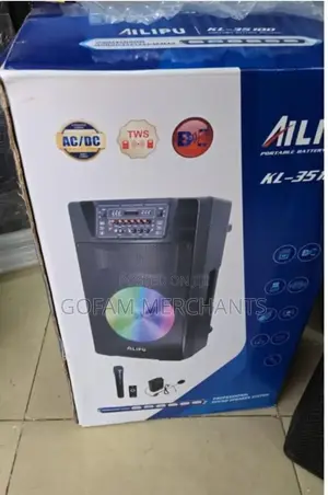 15-Inch Rechargeable Speaker With Led Display Wireless Microphones