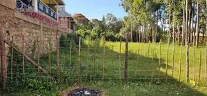 Commercial 1⁄4 Plot for Sale in Kimumu Eldoret